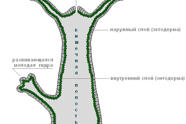 Как выводить деньги с блэкспрут